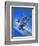 Gloster Gladiator-Wilf Hardy-Framed Giclee Print