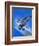 Gloster Gladiator-Wilf Hardy-Framed Giclee Print