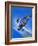 Gloster Gladiator-Wilf Hardy-Framed Giclee Print