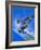 Gloster Gladiator-Wilf Hardy-Framed Giclee Print