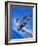 Gloster Gladiator-Wilf Hardy-Framed Giclee Print