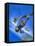 Gloster Gladiator-Wilf Hardy-Framed Premier Image Canvas