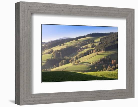 Glottertal Valley in Autumn, Black Forest, Baden Wurttemberg, Germany, Europe-Markus Lange-Framed Photographic Print