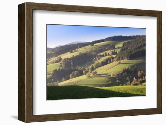 Glottertal Valley in Autumn, Black Forest, Baden Wurttemberg, Germany, Europe-Markus Lange-Framed Photographic Print