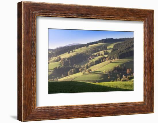 Glottertal Valley in Autumn, Black Forest, Baden Wurttemberg, Germany, Europe-Markus Lange-Framed Photographic Print