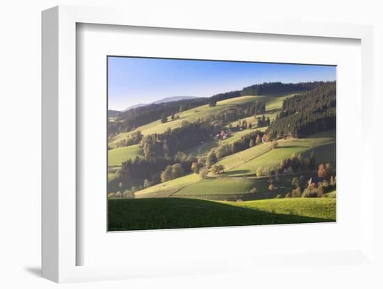 Glottertal Valley in Autumn, Black Forest, Baden Wurttemberg, Germany, Europe-Markus Lange-Framed Photographic Print