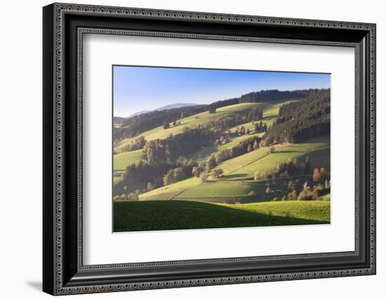 Glottertal Valley in Autumn, Black Forest, Baden Wurttemberg, Germany, Europe-Markus Lange-Framed Photographic Print