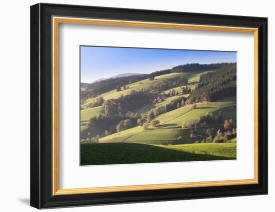 Glottertal Valley in Autumn, Black Forest, Baden Wurttemberg, Germany, Europe-Markus Lange-Framed Photographic Print