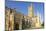 Gloucester Cathedral, city centre, Gloucester, Gloucestershire, England-Neale Clark-Mounted Photographic Print