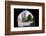 Gloucester Cathedral from the Northwest, Seen from St. Marys Gate, Gloucestershire, England, UK-Nick Servian-Framed Photographic Print