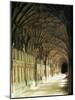 Gloucester Cathedral, Gloucester, Gloucestershire, England, United Kingdom-Adam Woolfitt-Mounted Photographic Print