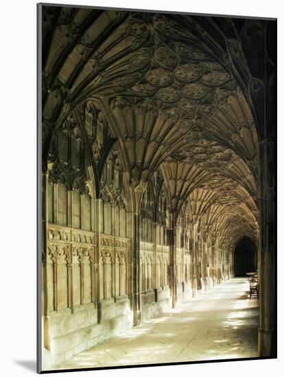 Gloucester Cathedral, Gloucester, Gloucestershire, England, United Kingdom-Adam Woolfitt-Mounted Photographic Print