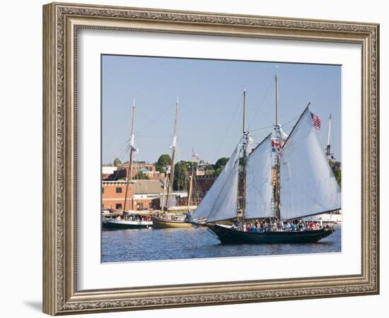 Gloucester Schooner Festival, Gloucester, Cape Anne, Massachusetts, USA-Walter Bibikow-Framed Photographic Print