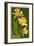 Gloucester, Virginia - Daffodil-Lantern Press-Framed Art Print