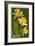 Gloucester, Virginia - Daffodil-Lantern Press-Framed Art Print