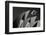 Gloup!-Mathilde Guillemot-Framed Photographic Print