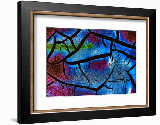 Glow in the Dark 2-Ursula Abresch-Framed Photographic Print