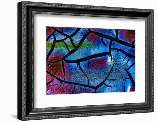 Glow in the Dark 2-Ursula Abresch-Framed Photographic Print