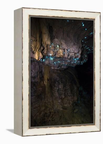 Glow Worms in Waitomo Caves, Waikato Region, North Island, New Zealand, Pacific-Matthew Williams-Ellis-Framed Premier Image Canvas