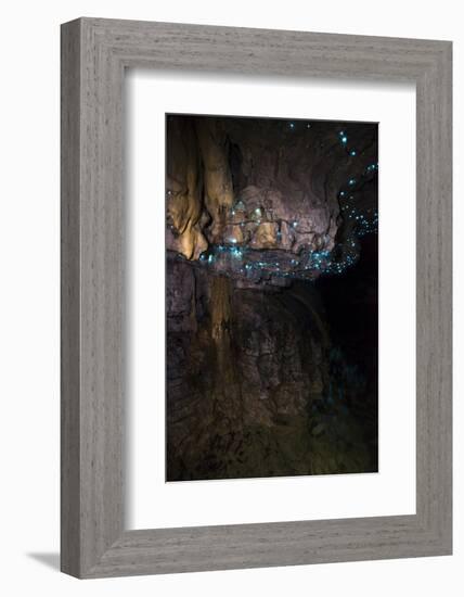 Glow Worms in Waitomo Caves, Waikato Region, North Island, New Zealand, Pacific-Matthew Williams-Ellis-Framed Photographic Print