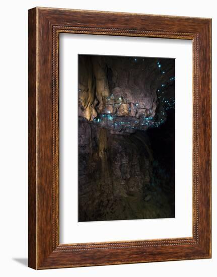 Glow Worms in Waitomo Caves, Waikato Region, North Island, New Zealand, Pacific-Matthew Williams-Ellis-Framed Photographic Print