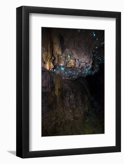 Glow Worms in Waitomo Caves, Waikato Region, North Island, New Zealand, Pacific-Matthew Williams-Ellis-Framed Photographic Print