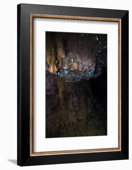 Glow Worms in Waitomo Caves, Waikato Region, North Island, New Zealand, Pacific-Matthew Williams-Ellis-Framed Photographic Print