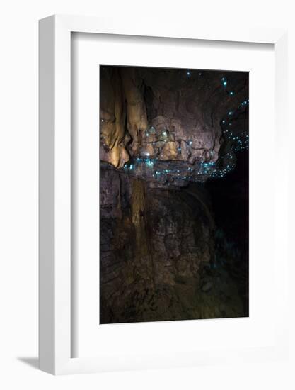 Glow Worms in Waitomo Caves, Waikato Region, North Island, New Zealand, Pacific-Matthew Williams-Ellis-Framed Photographic Print
