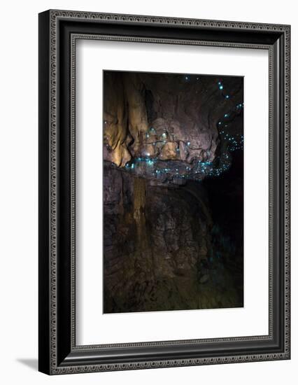 Glow Worms in Waitomo Caves, Waikato Region, North Island, New Zealand, Pacific-Matthew Williams-Ellis-Framed Photographic Print