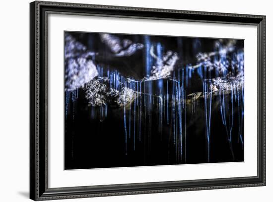 Glow Worms in Waitomo Caves, Waikato Region, North Island, New Zealand, Pacific-Matthew Williams-Ellis-Framed Photographic Print