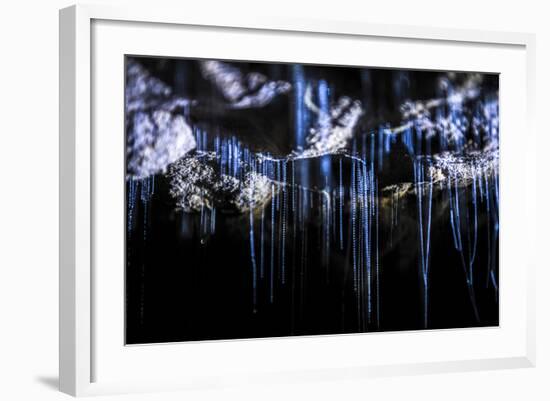 Glow Worms in Waitomo Caves, Waikato Region, North Island, New Zealand, Pacific-Matthew Williams-Ellis-Framed Photographic Print