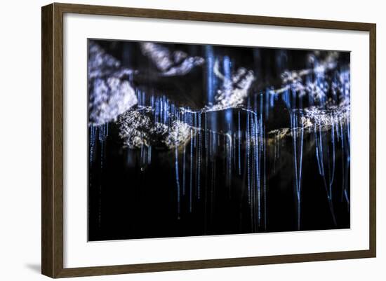 Glow Worms in Waitomo Caves, Waikato Region, North Island, New Zealand, Pacific-Matthew Williams-Ellis-Framed Photographic Print