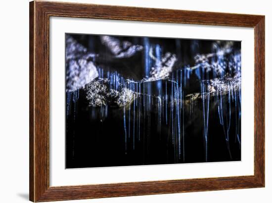 Glow Worms in Waitomo Caves, Waikato Region, North Island, New Zealand, Pacific-Matthew Williams-Ellis-Framed Photographic Print