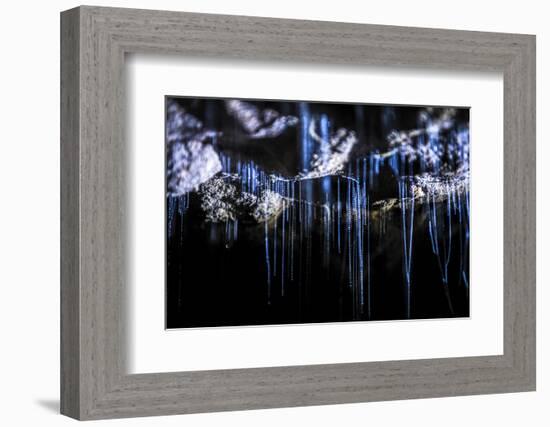 Glow Worms in Waitomo Caves, Waikato Region, North Island, New Zealand, Pacific-Matthew Williams-Ellis-Framed Photographic Print