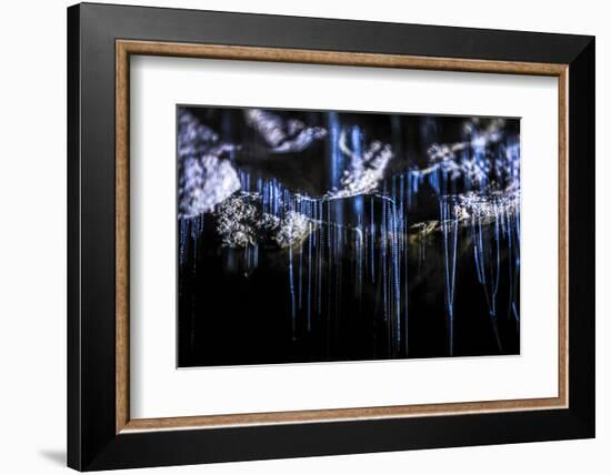 Glow Worms in Waitomo Caves, Waikato Region, North Island, New Zealand, Pacific-Matthew Williams-Ellis-Framed Photographic Print