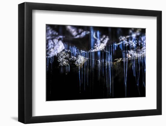 Glow Worms in Waitomo Caves, Waikato Region, North Island, New Zealand, Pacific-Matthew Williams-Ellis-Framed Photographic Print