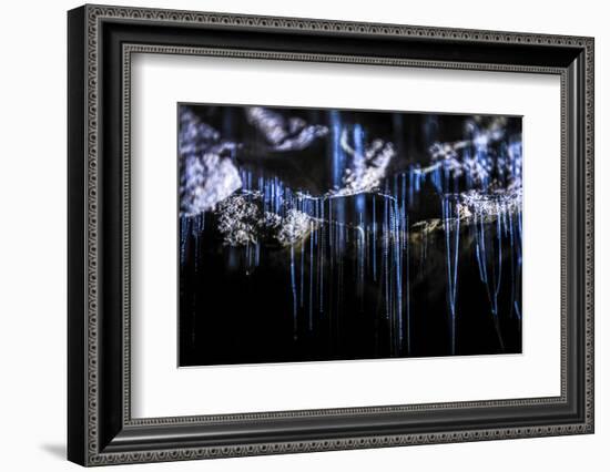 Glow Worms in Waitomo Caves, Waikato Region, North Island, New Zealand, Pacific-Matthew Williams-Ellis-Framed Photographic Print