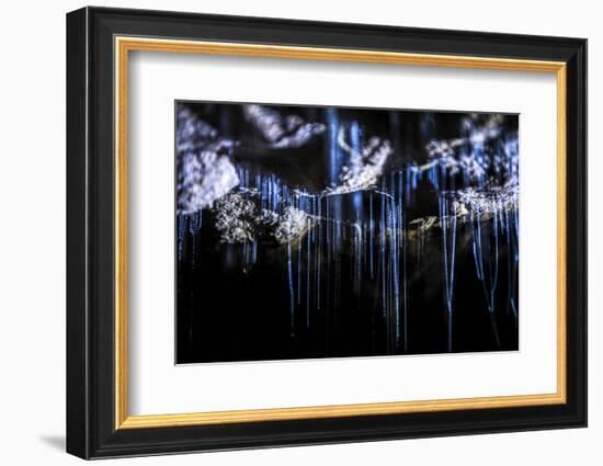 Glow Worms in Waitomo Caves, Waikato Region, North Island, New Zealand, Pacific-Matthew Williams-Ellis-Framed Photographic Print