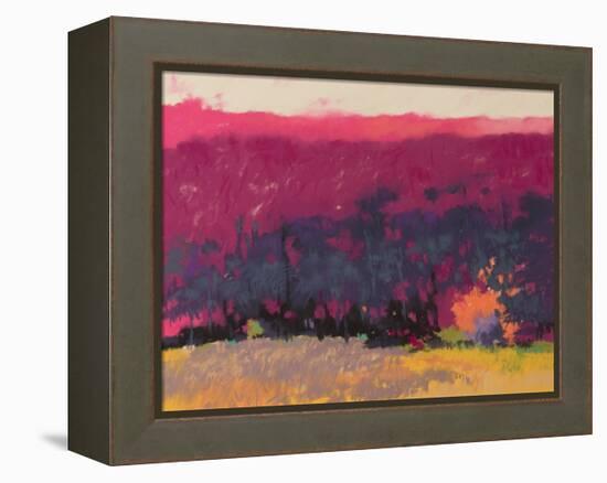 Glow-Mike Kelly-Framed Stretched Canvas