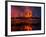 Glowing Lava from the Eruption at the Holuhraun Fissure, Near the Bardarbunga Volcano, Iceland-null-Framed Photographic Print