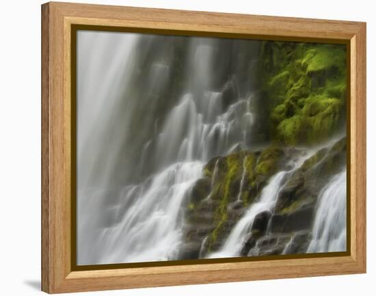 Glowing Mist-Natalie Mikaels-Framed Premier Image Canvas