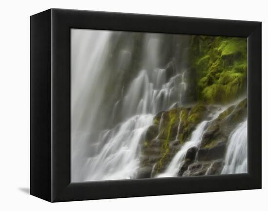 Glowing Mist-Natalie Mikaels-Framed Premier Image Canvas