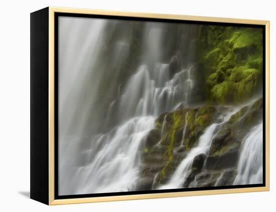 Glowing Mist-Natalie Mikaels-Framed Premier Image Canvas