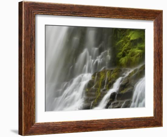 Glowing Mist-Natalie Mikaels-Framed Photographic Print