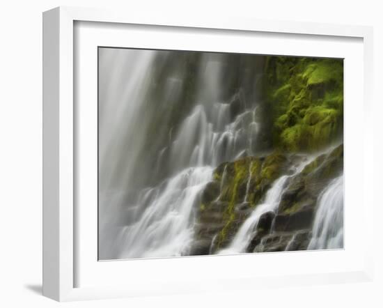 Glowing Mist-Natalie Mikaels-Framed Photographic Print