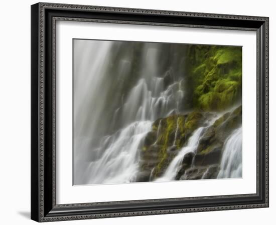 Glowing Mist-Natalie Mikaels-Framed Photographic Print