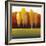 Glowing Trees II-Tim O'toole-Framed Art Print