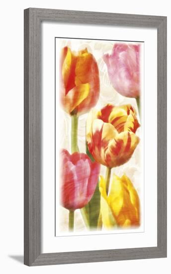 Glowing Tulips II-Janel Pahl-Framed Giclee Print