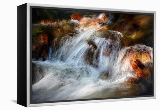 Glowing-Ursula Abresch-Framed Premier Image Canvas