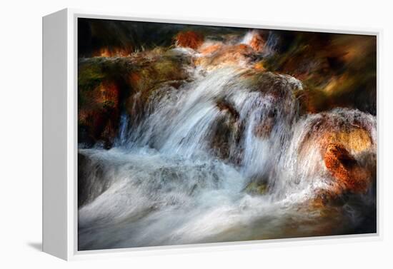 Glowing-Ursula Abresch-Framed Premier Image Canvas